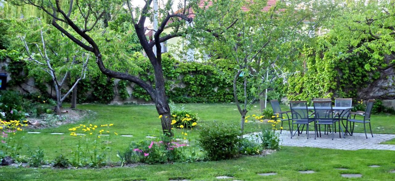 فندق Illes Vendeghaz كيستاي المظهر الخارجي الصورة
